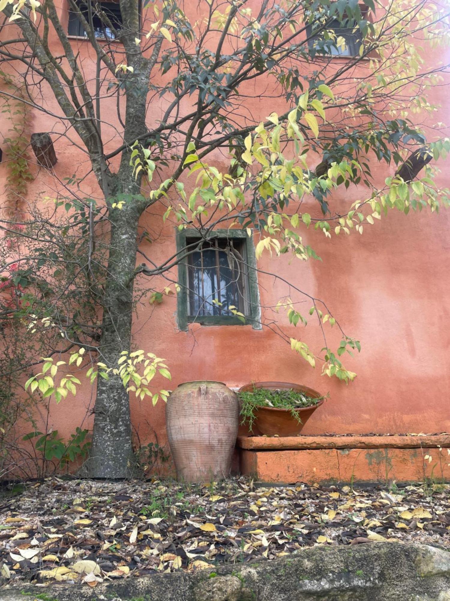 Maset Del Riu Casa de hóspedes Valderrobres Exterior foto